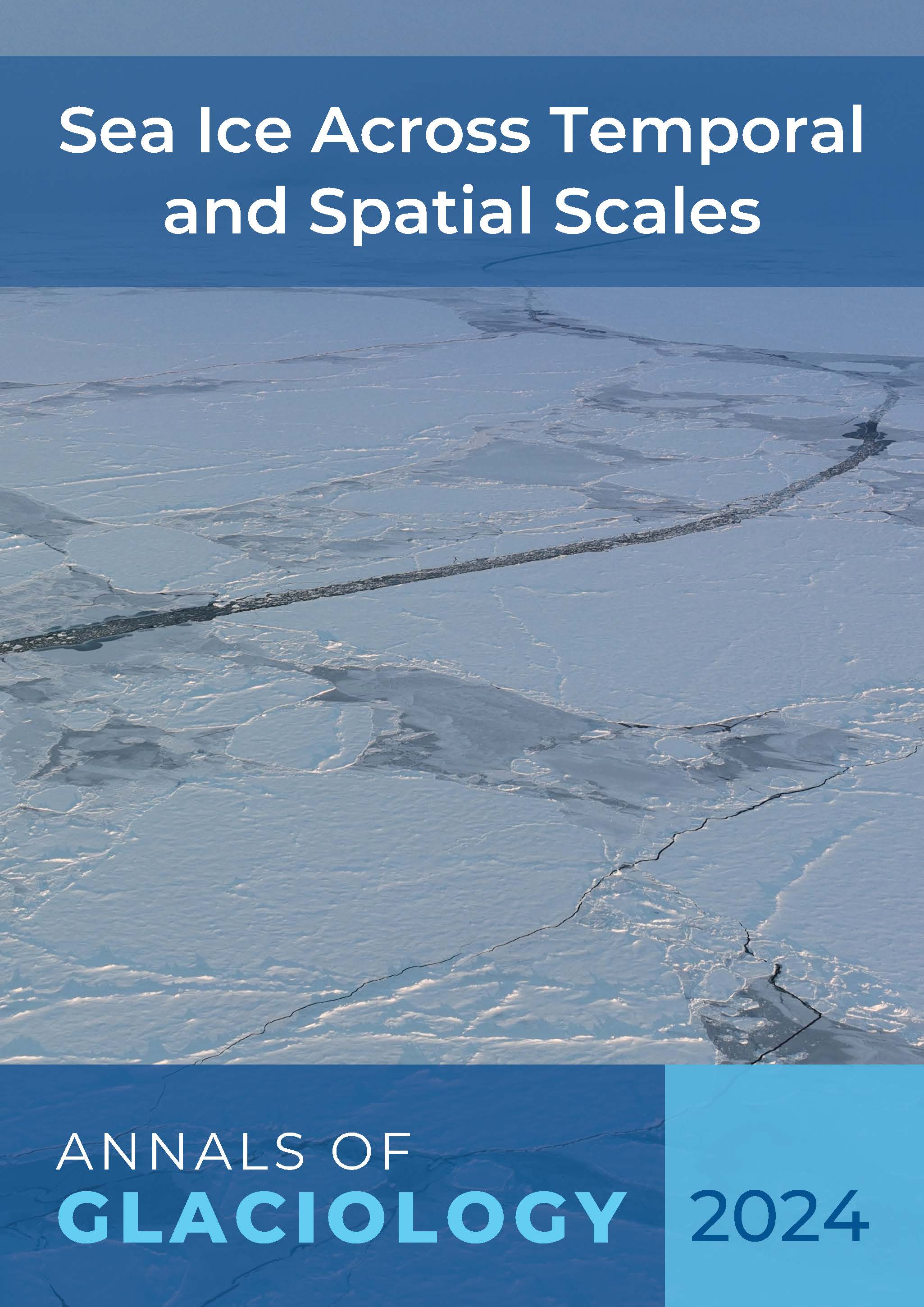 sea ice across temporal and spatial scales