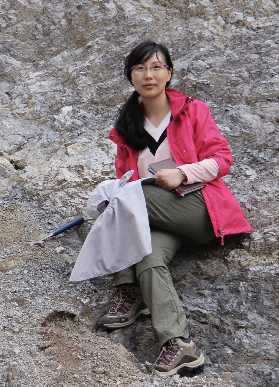 liqing image GEO