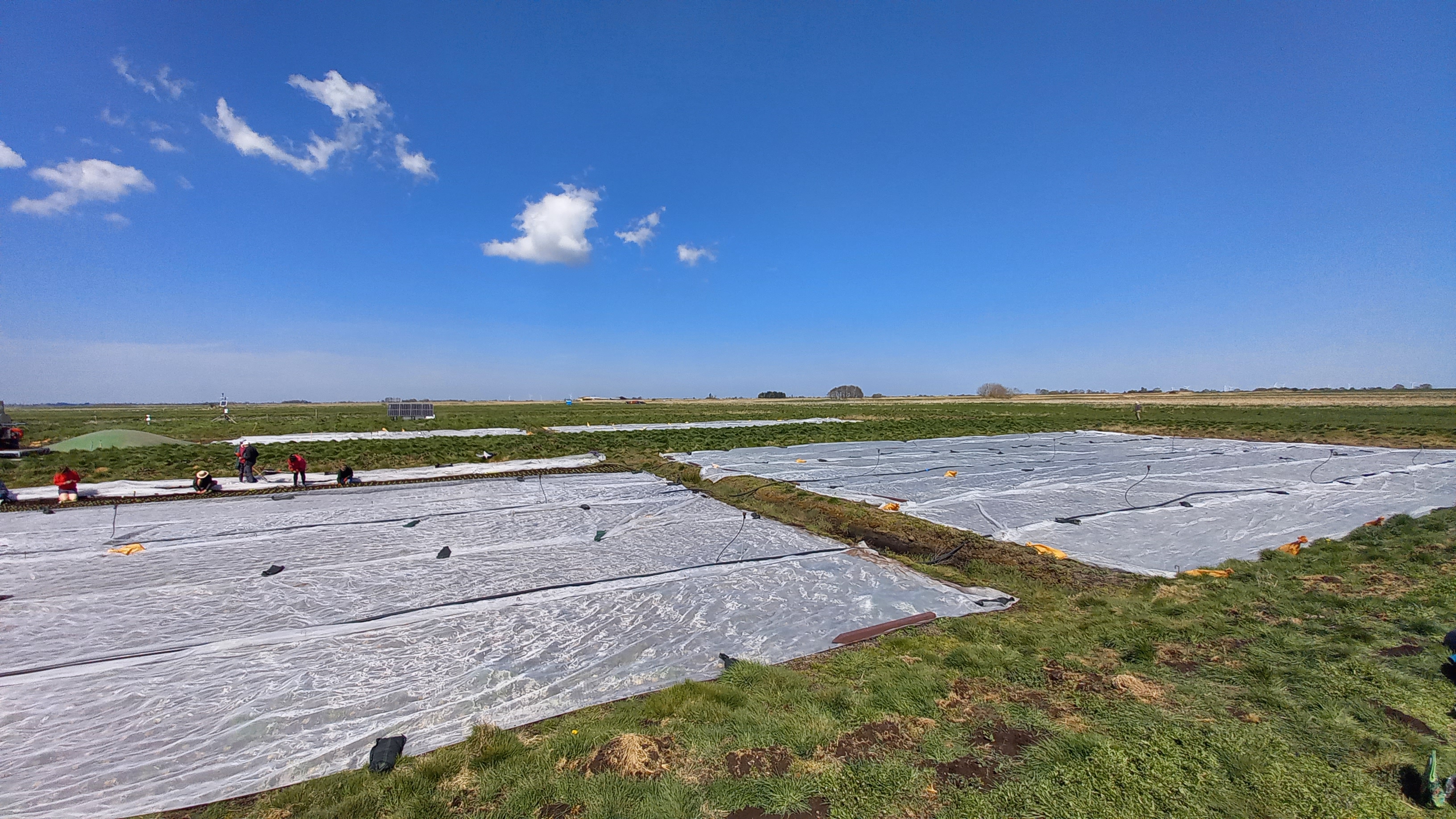 A vast flat landscape with people planting moss in the foreground