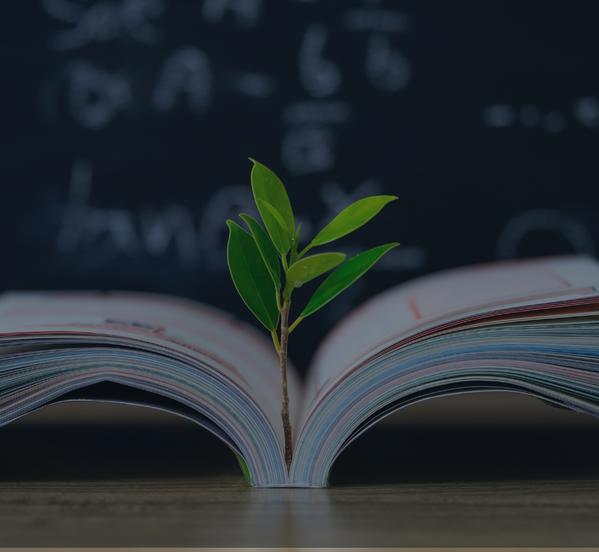 Education stages we cover