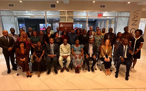 African Union ECOSOCC and Cambridge partners