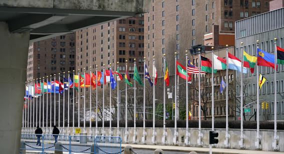 Picture of country flags